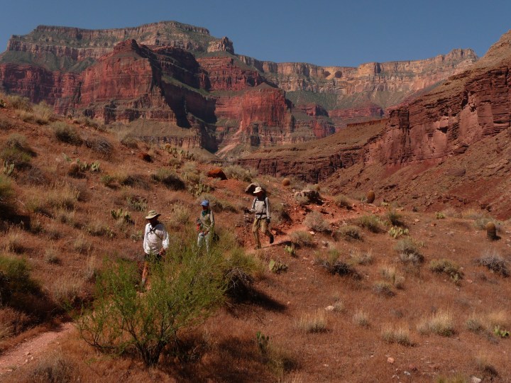 The parched red desert of Arizona.