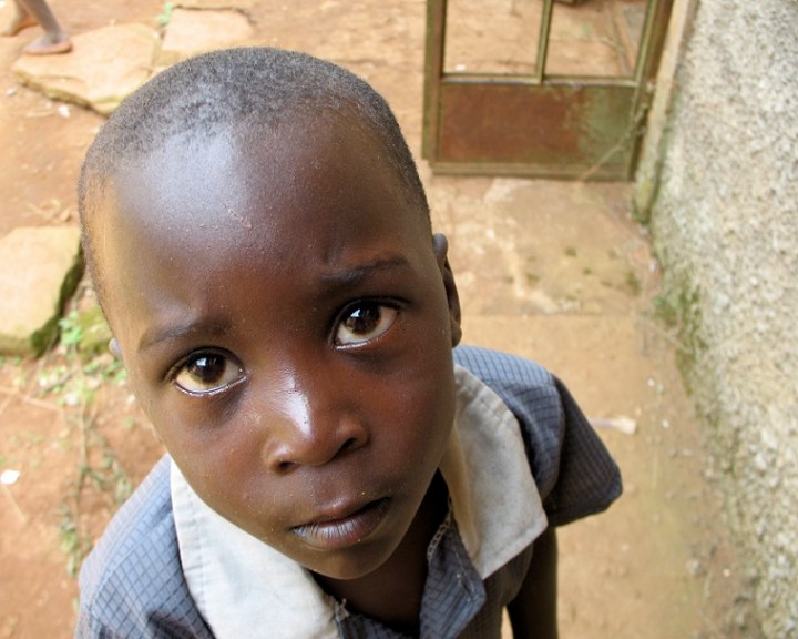 Puppy dog eyes are universal. Photo credit: Louisa Gaylord